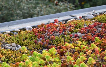 the cost of West Blatchington green roof installation